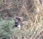 कृष्णभीरबाट मोटरसाइकल खस्दा एक जनाको मृत्यु